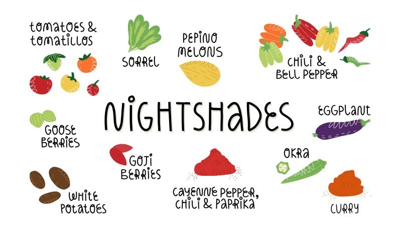 nightshades and eggs AIP diet illustration